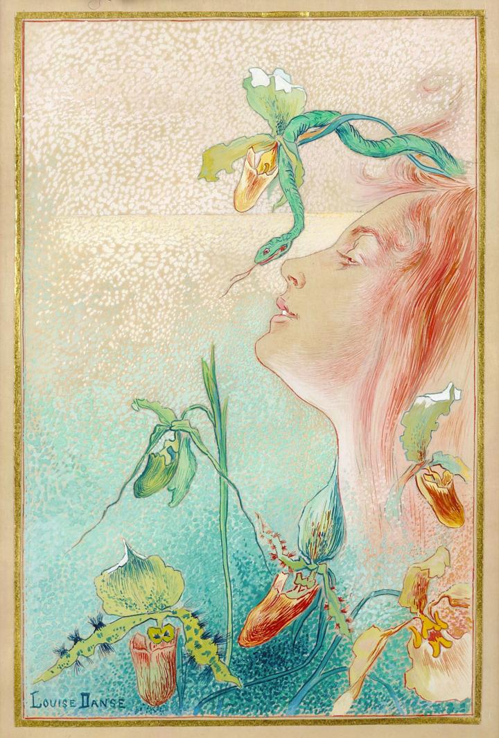 Orchidées