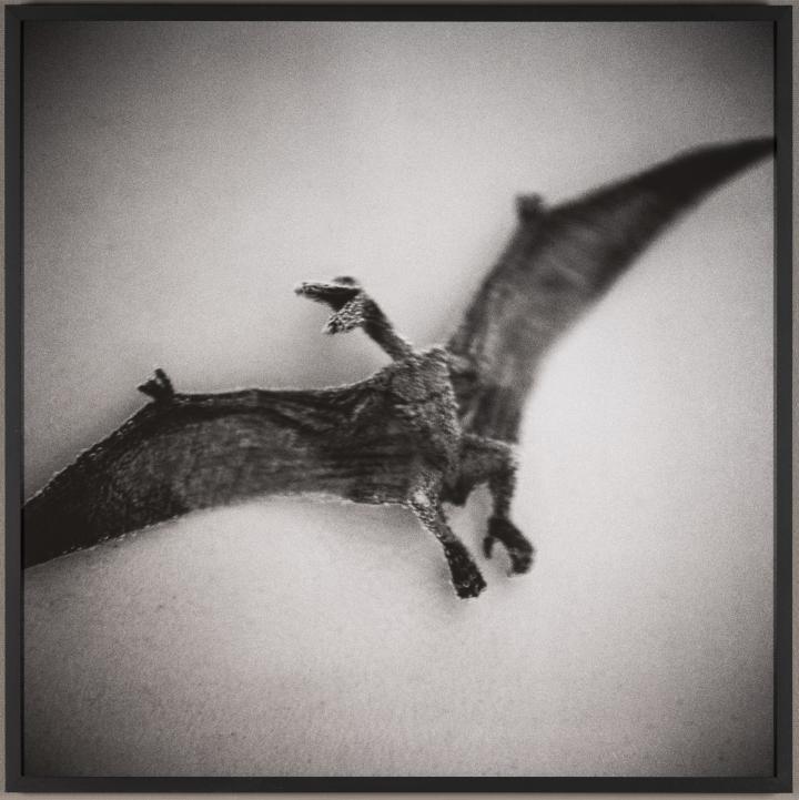 Pterodactyl
