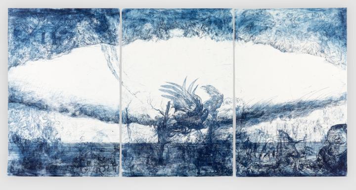 Champignon horizontal